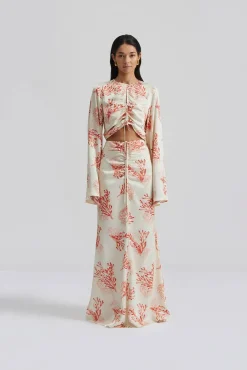 Malina Indra topp
